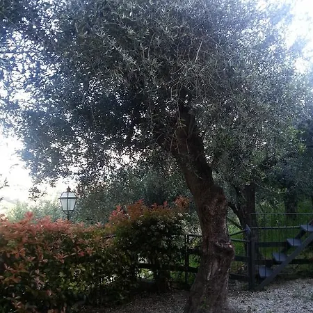 Casale La Vigna