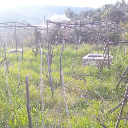 Nyaraló Casale La Vigna *