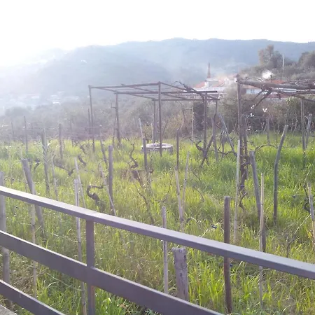 Holiday home Casale La Vigna
